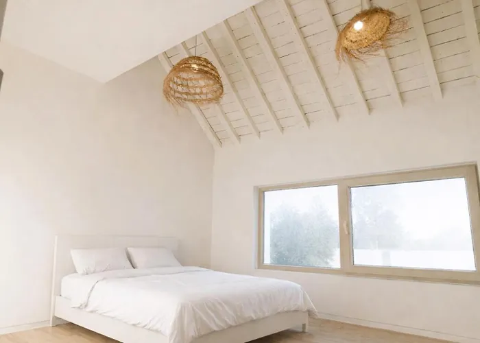 Maison Plume * Nassogne